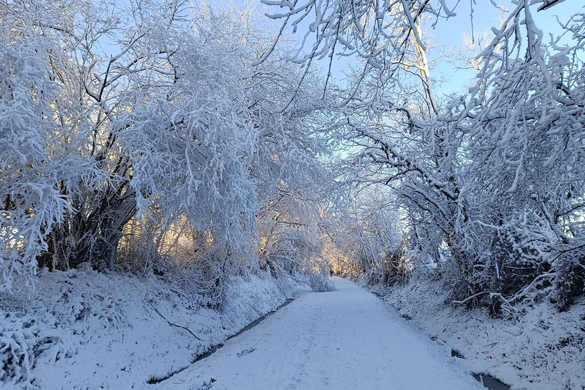 Aizenay © David Eme