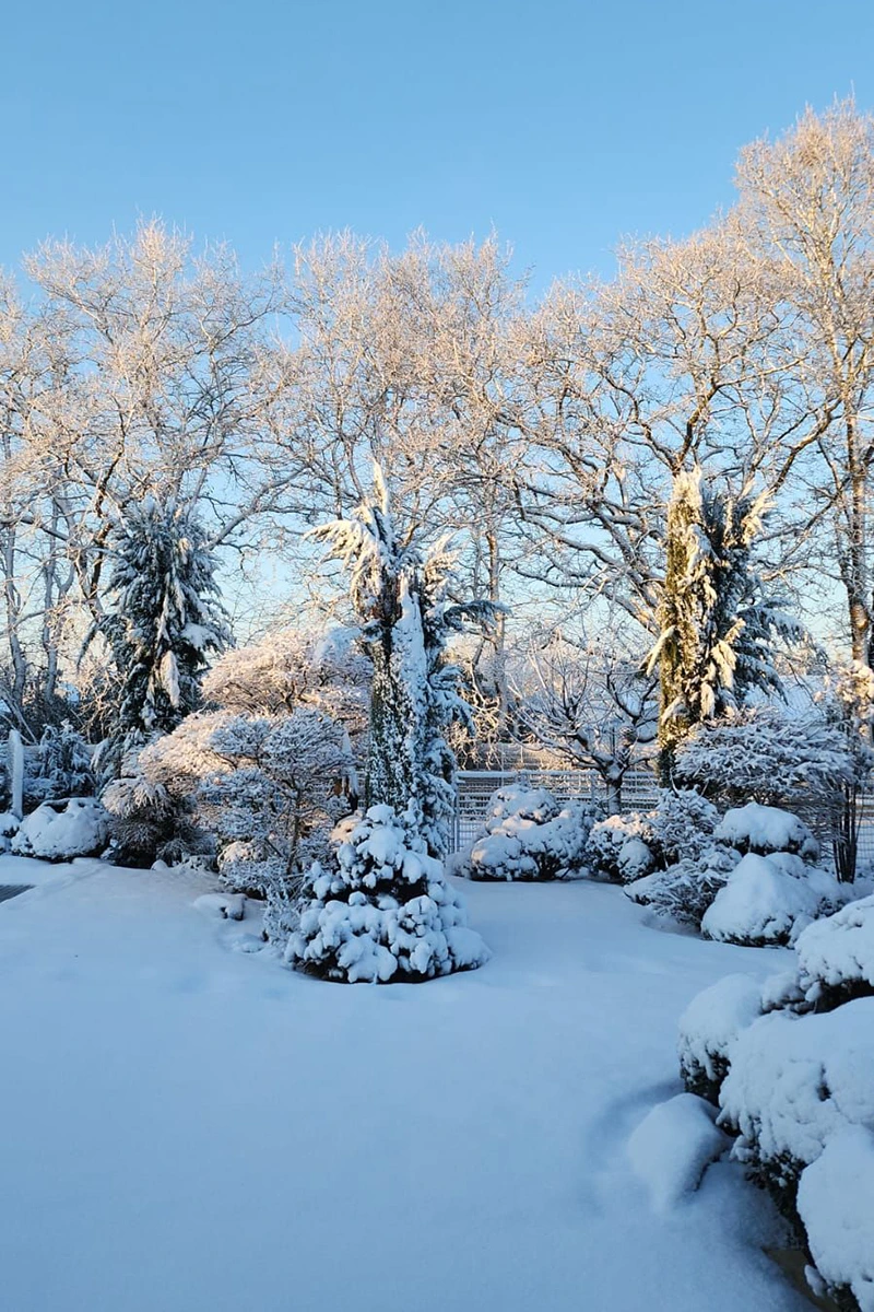 Aubigny © Emilie Gravoueille