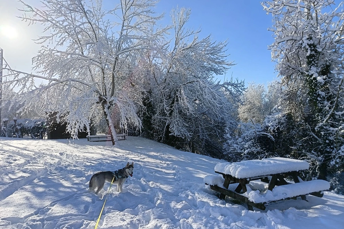 Auchay-sur-Vendée © Morgane Thi