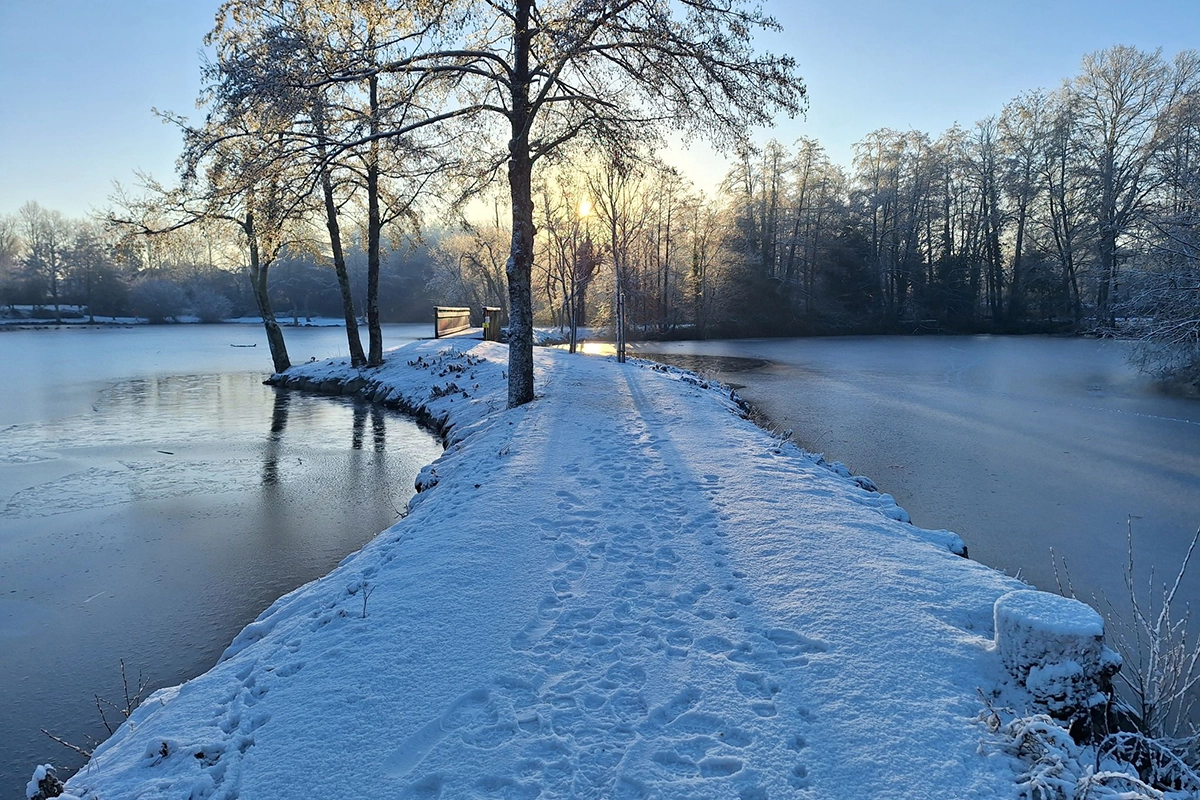 Challans © Zab\'aile la Vitesse