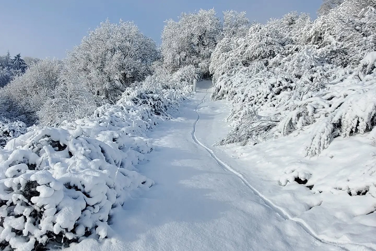 Chavagnes-en-Pailliers © Louis GILBERT