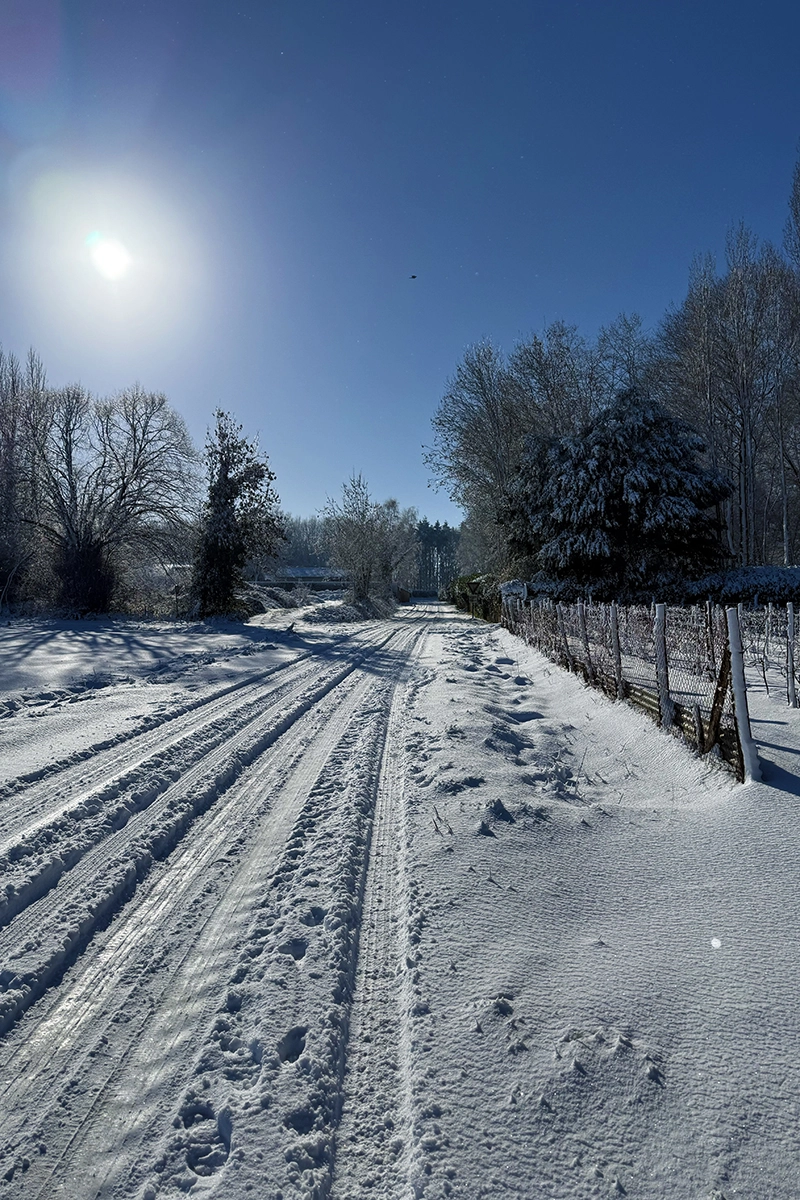 Corpe © Arthur Giraudet