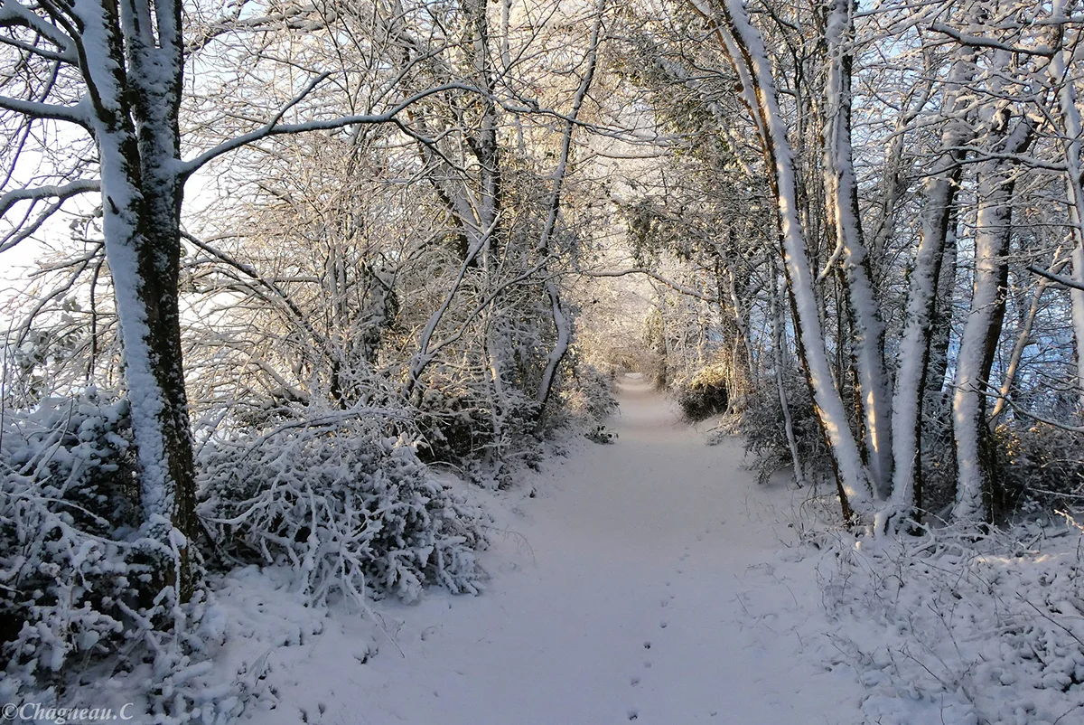 Dompierre-sur-Yon © Christophe Chagneau
