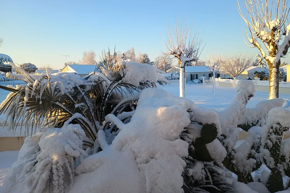 Fontenay-le-Comte © Sébastien Vendé