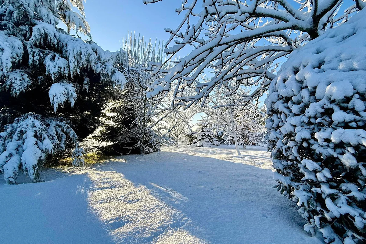 Grand\'Landes © Franck Groizeleau