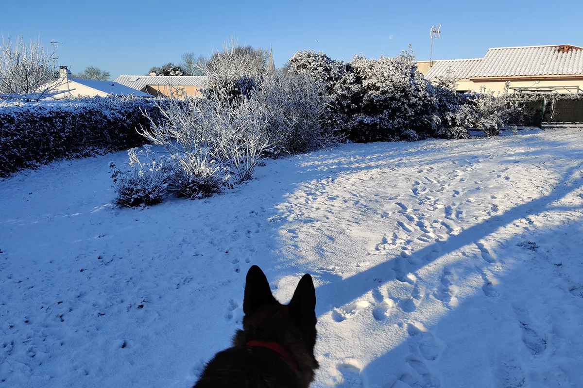 Grosbreuil © Sébastien Drd