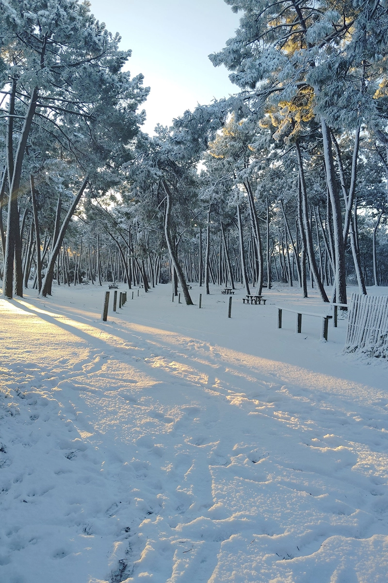 L\'Aiguillon-sur-Mer © Solange Billeau