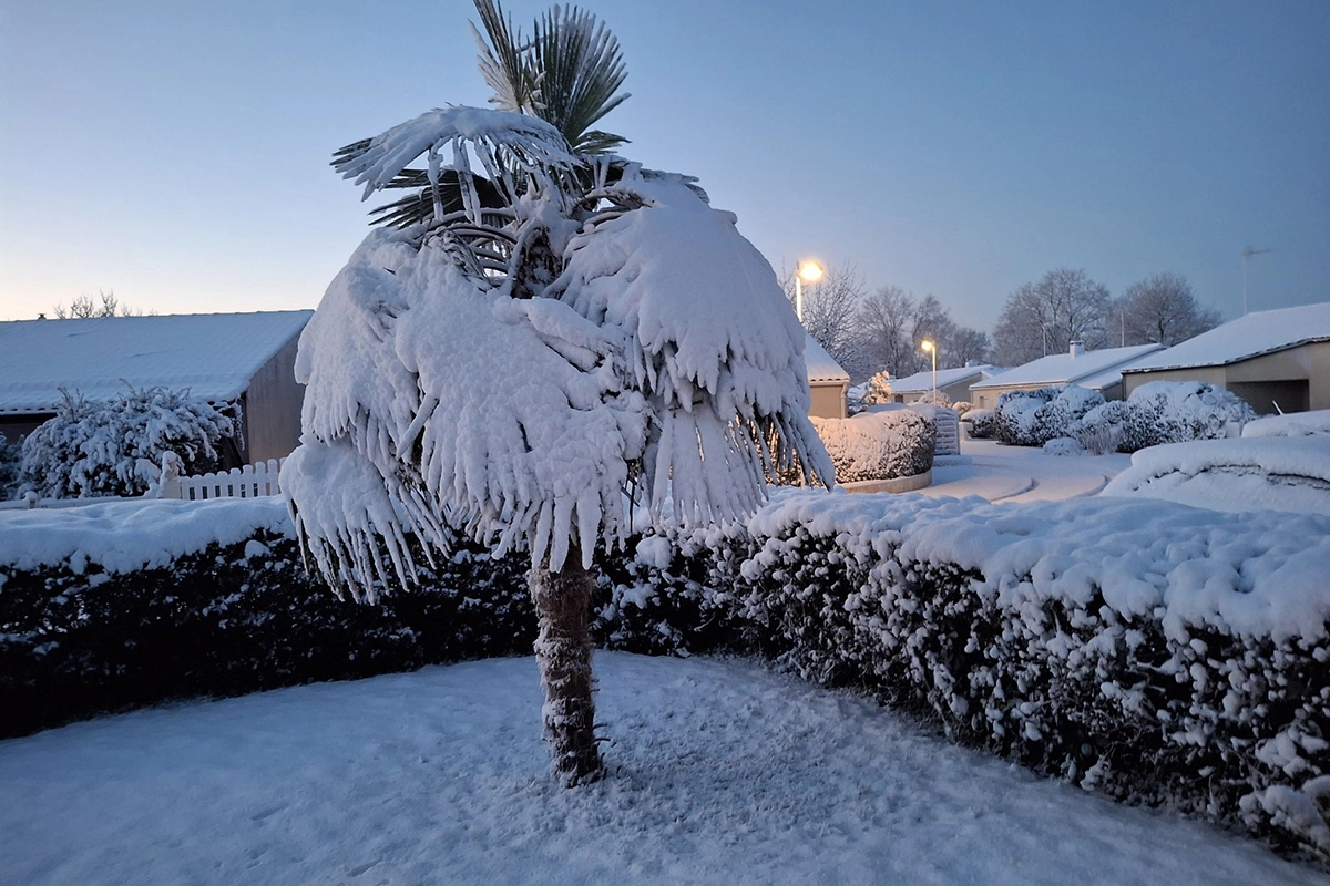 La Ferrière © Phil Collins