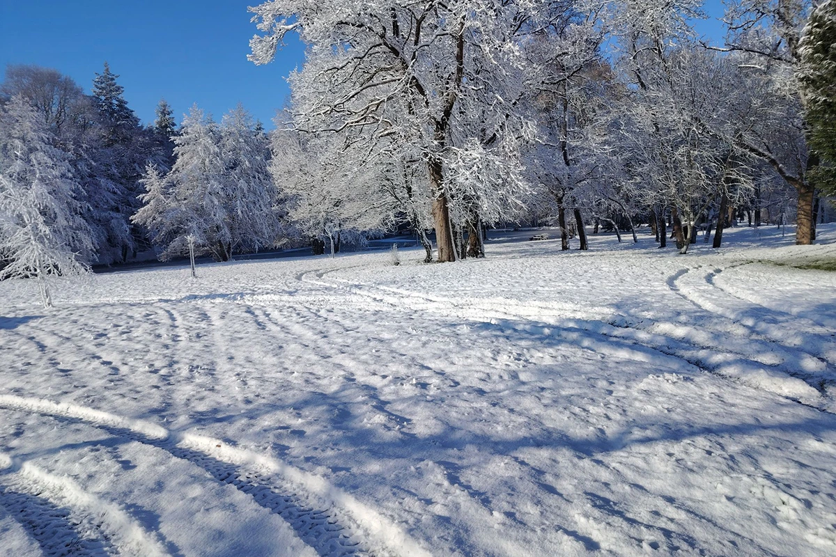 La Merlatière © Nicolas Maginot
