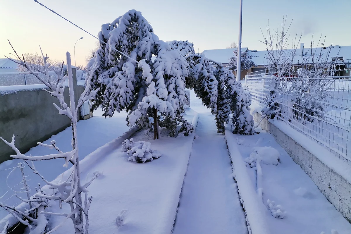 Le Beignon Basset © Antonio Pereira