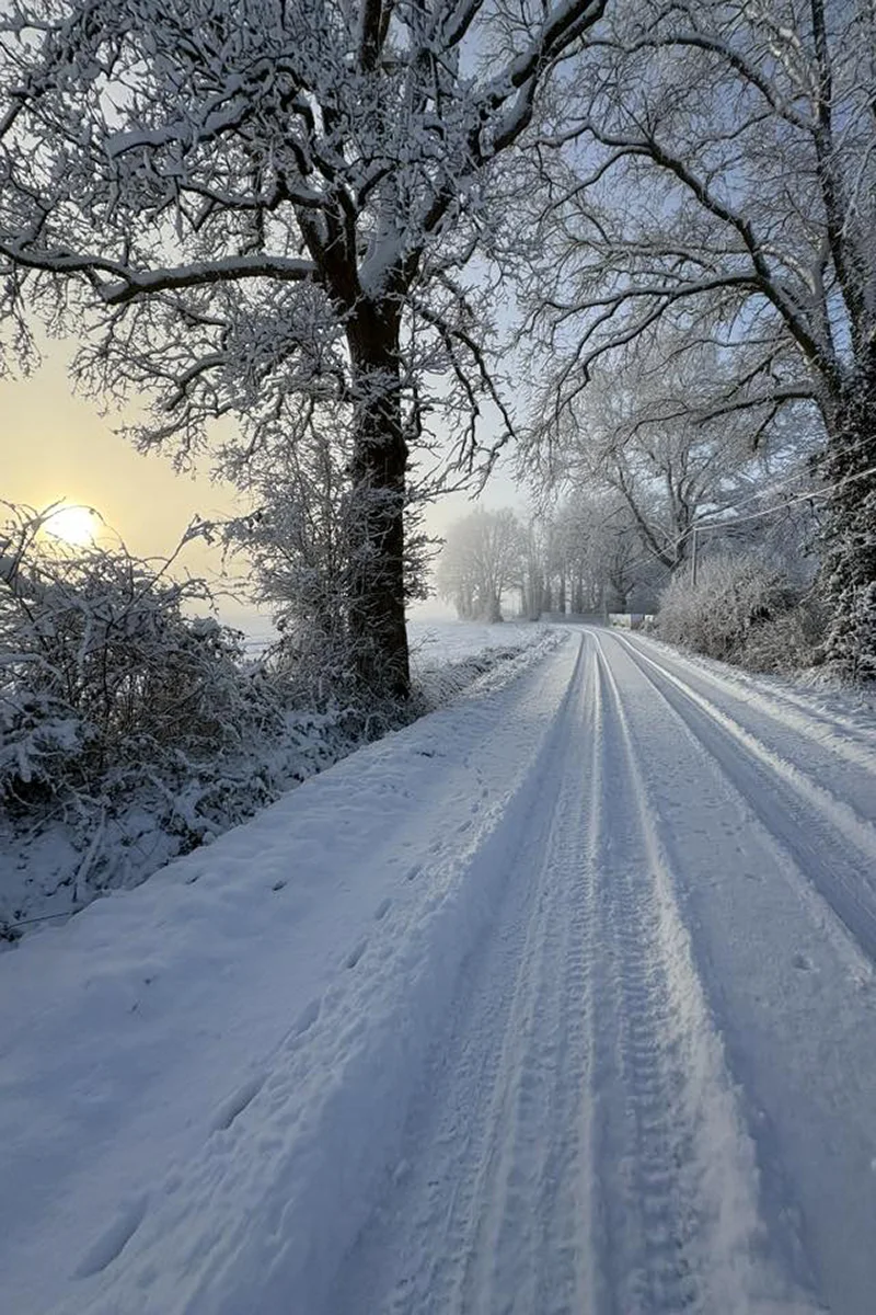 Le Boissière de Montaigu © Salomé You