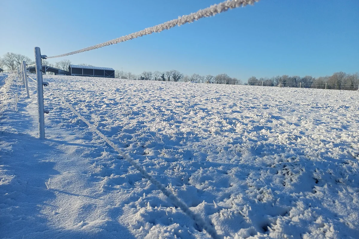 Le Girouard © Nadia Godet