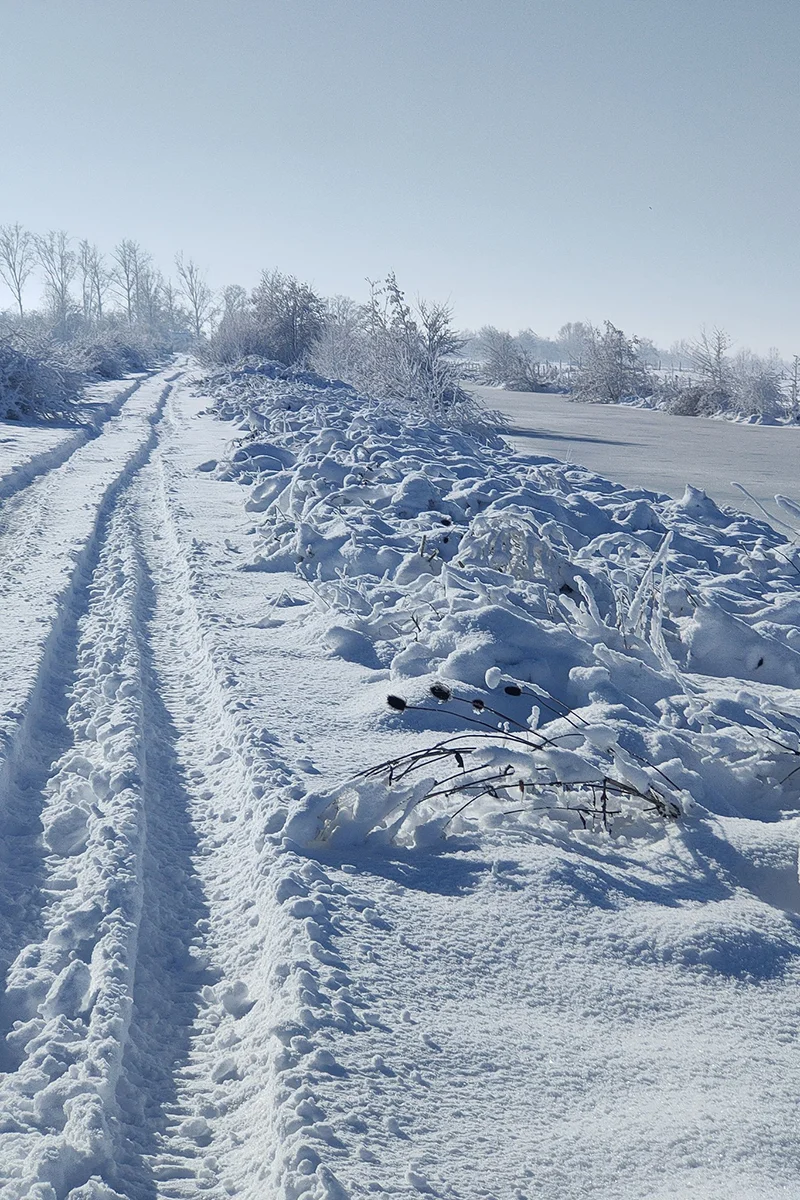 Le Langon © Amelitta Hn