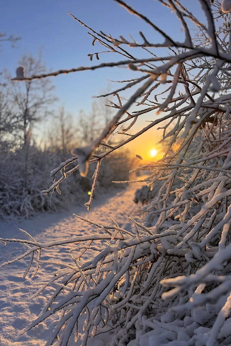 Les Clouzeaux © Yann FVD
