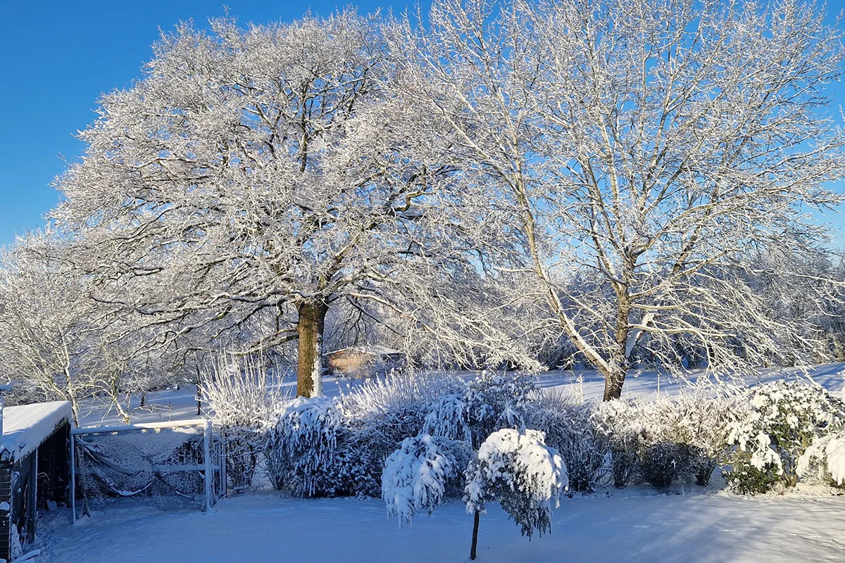 Les Herbiers © Coralie Rondard