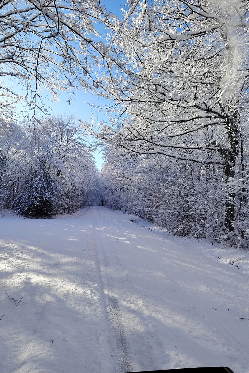 Mervent © Meggy Przeau