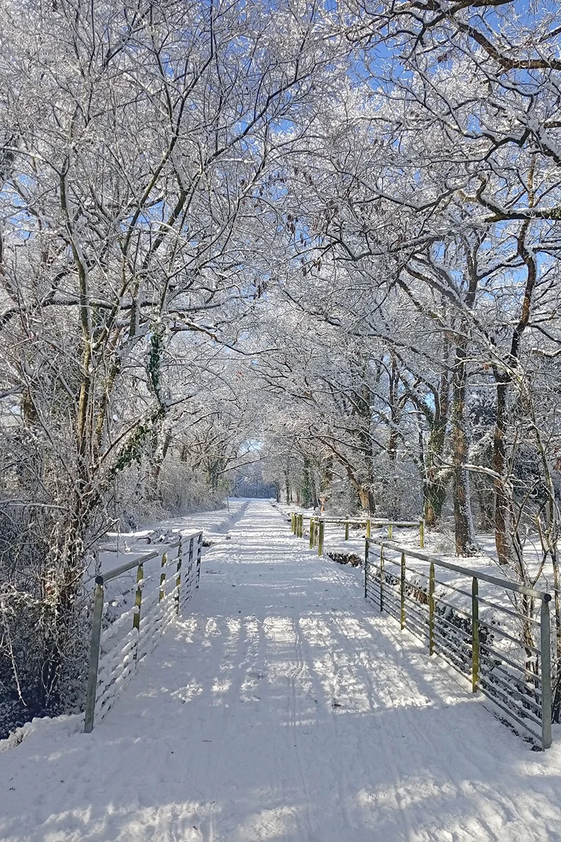 Montaigu © Aline Girard