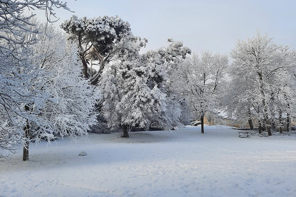 Montaigu © Jean-Claude Morisset