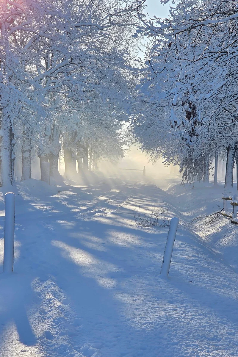 Montréverd © François Goreau