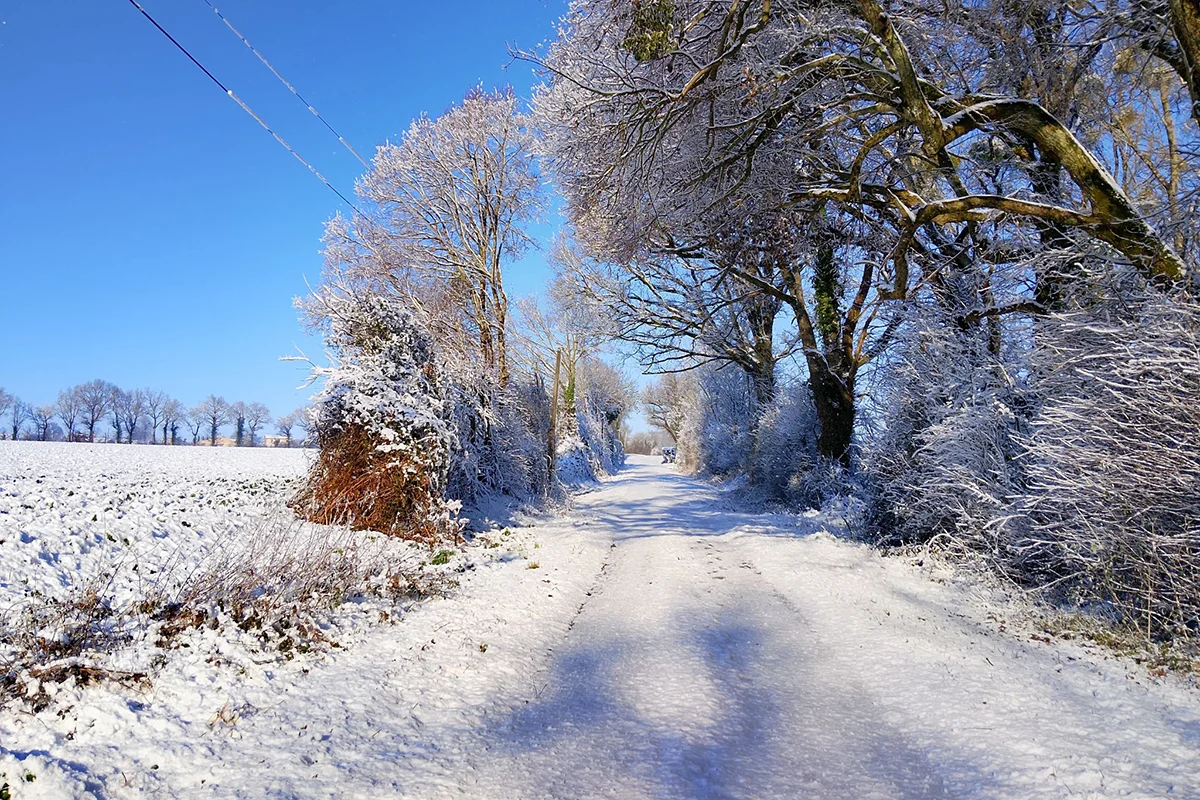 Mouchamps © Anaïs Roussel