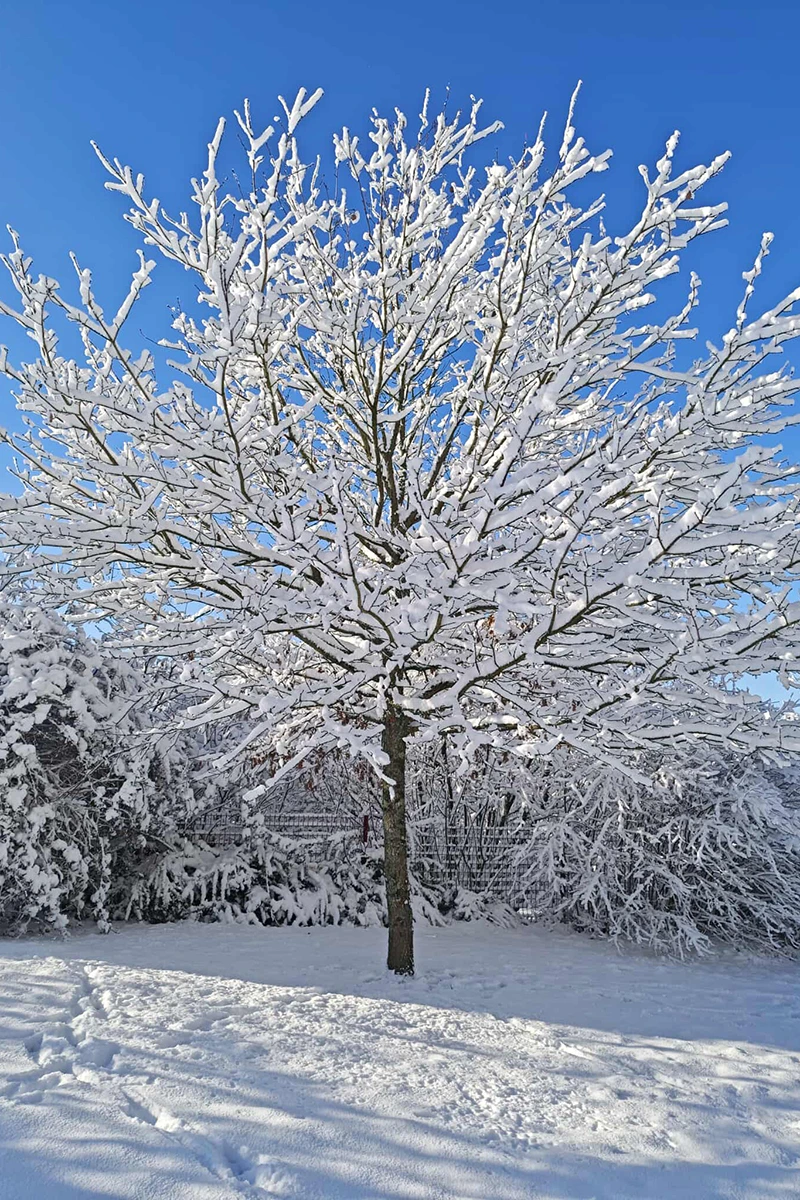 Pouzauges © Thoomaas Bcht