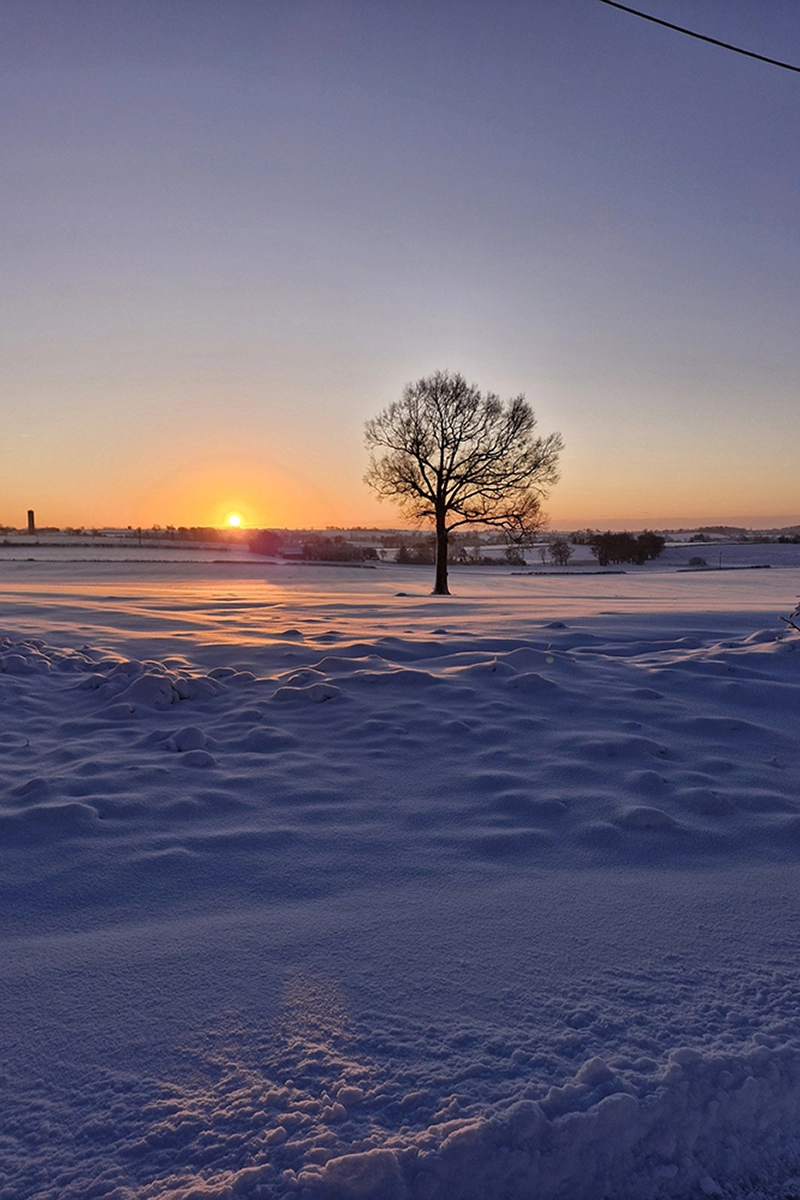 Reaumur © Sandra Loiseau