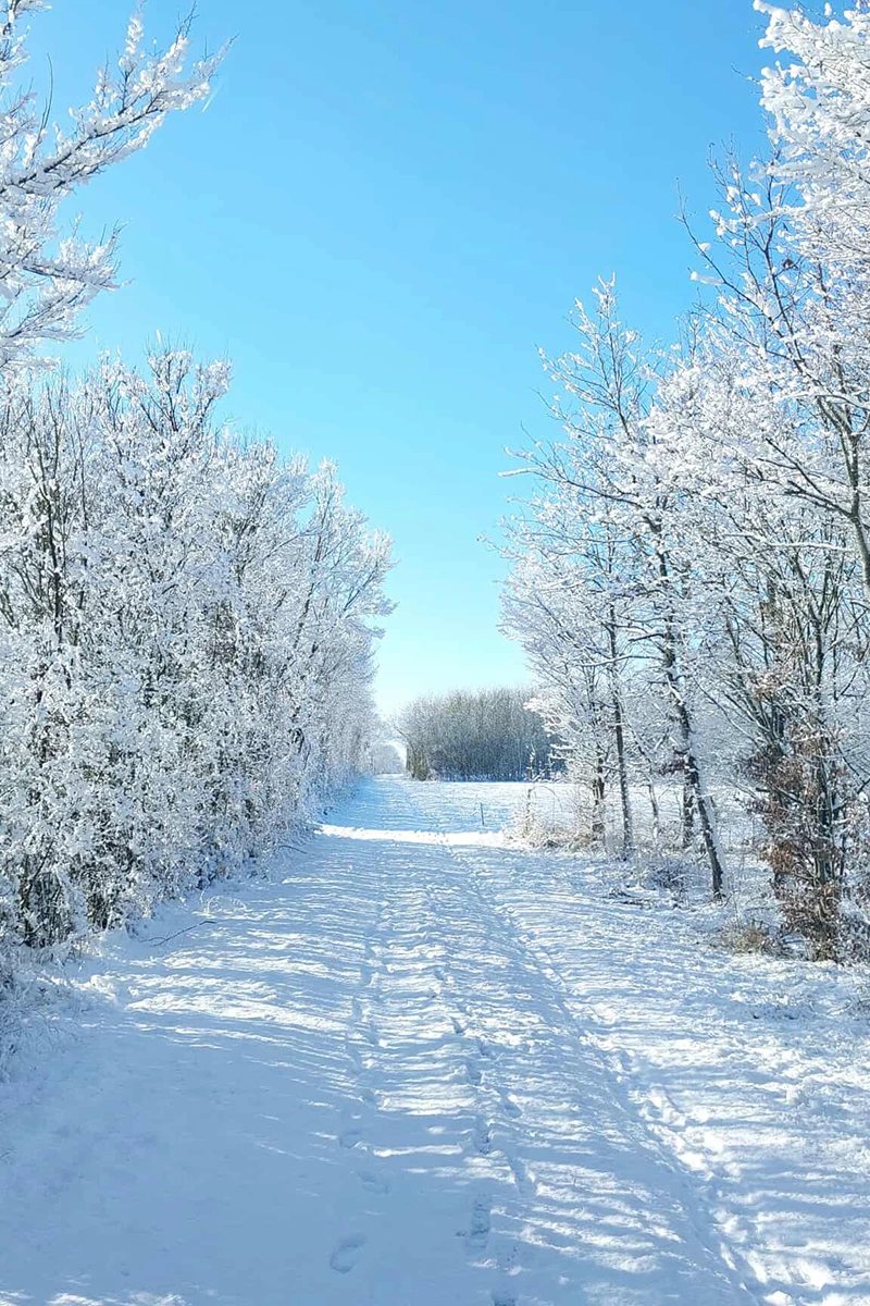 Saint-Germain-de-Princay © Julien Moreau