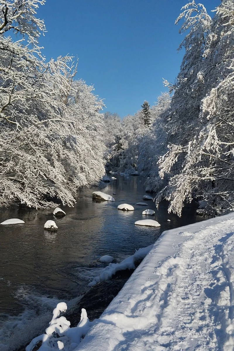 Saint-Laurent-sur-Sèvre © Charlotte Lizambard
