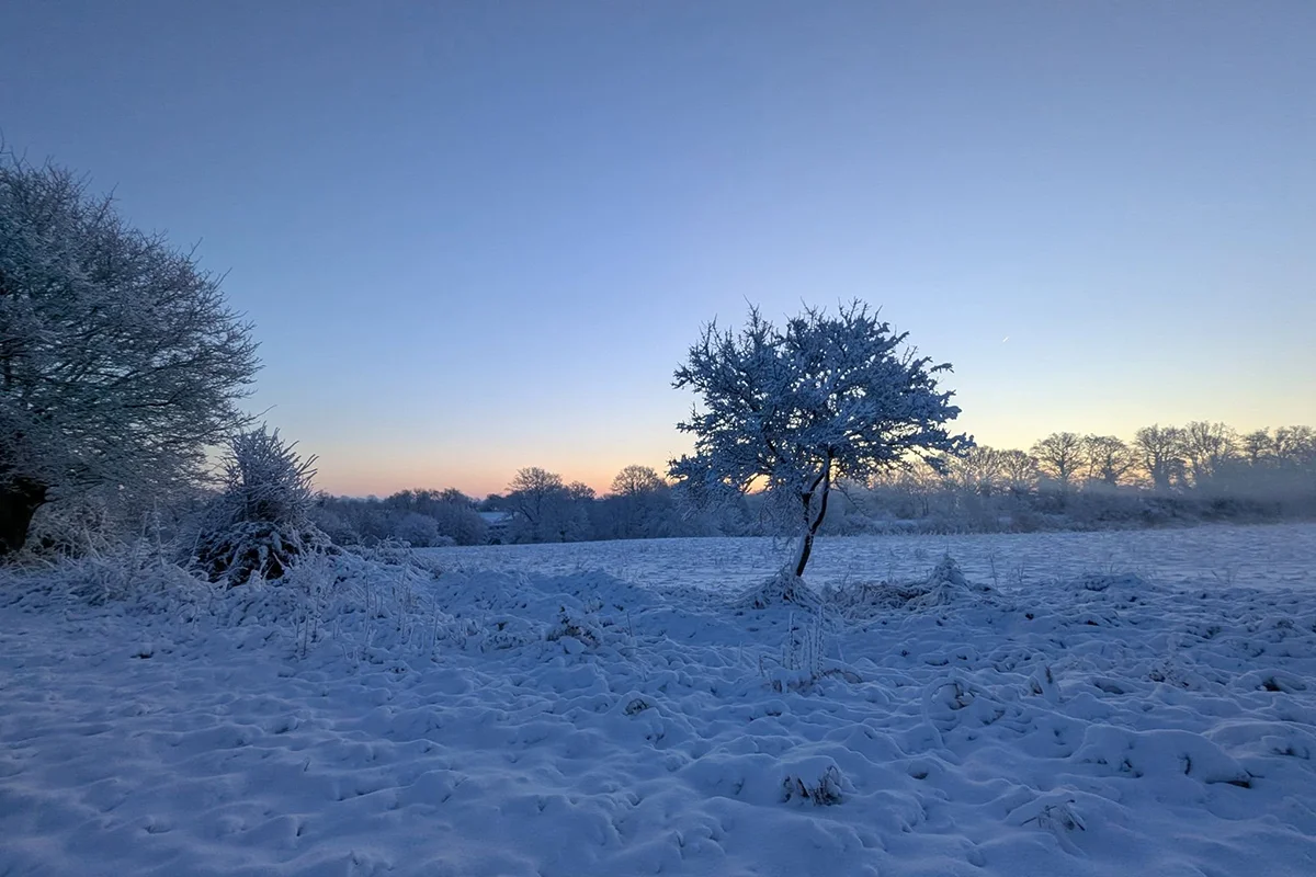 Saint-Martin-des-Tilleuls © Pauline Retailleau
