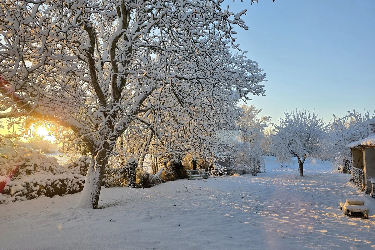 Sainte-Gemme-la-Plaine © Marc Craipeau