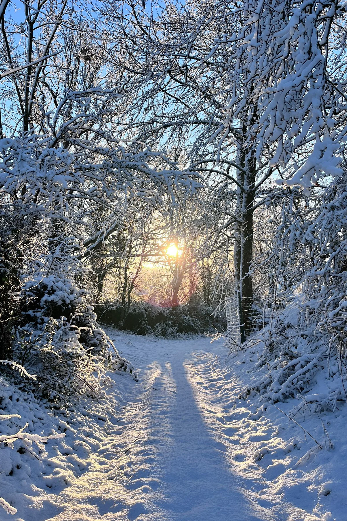 Thorigny © Benjamin Gayraud