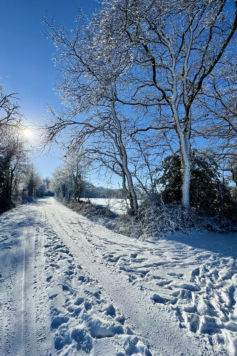 Venansault © Valentin Perrault
