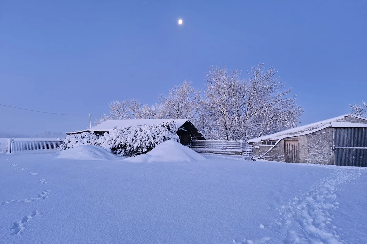 Vouillé les Marais © Thitéca Charlotte